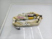 Airbag de toit