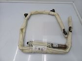 Roof airbag