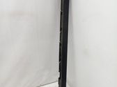 Sill/side skirt trim