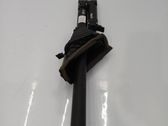 Tailgate/trunk strut/damper