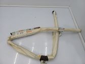 Roof airbag