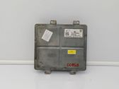 Engine control unit/module ECU