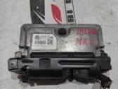 Engine control unit/module ECU