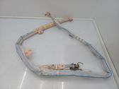 Roof airbag