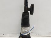 Rear shock absorber/damper