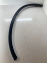 Fender trim (molding)