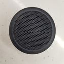 Front door high frequency speaker