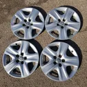 R17 wheel hub/cap/trim