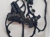 Front door wiring loom