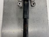 Rear shock absorber/damper