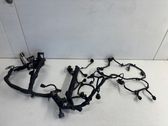 Faisceau de câblage pour moteur