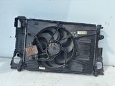 Electric radiator cooling fan