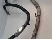 Other wiring loom
