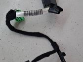 Other wiring loom