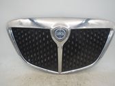 Front bumper upper radiator grill