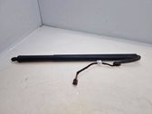 Tailgate/trunk strut/damper