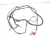 Tailgate/trunk wiring harness