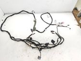 Tailgate/trunk wiring harness