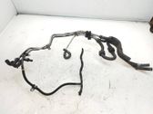 Fuel line/pipe/hose