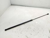 Front bonnet/hood damper/strut