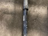 Rear shock absorber/damper
