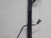 Tailgate/trunk strut/damper