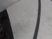 Windshield trim