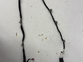 Other wiring loom