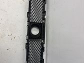 Front bumper lower grill