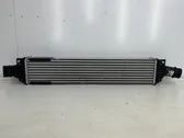 Intercooler radiator