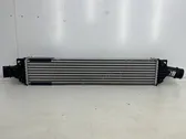 Intercooler radiator