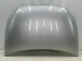 Engine bonnet/hood