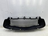 Radiator trim