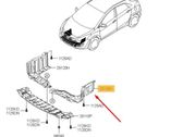 Unterfahrschutz Unterbodenschutz Motor