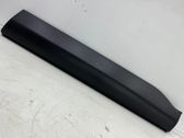 Front door trim (molding)