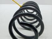 Muelle espiral delantero