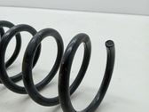 Front coil spring