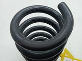 Front coil spring
