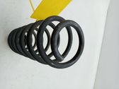 Muelle espiral delantero