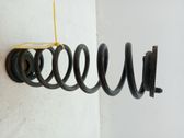 Muelle espiral delantero