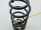 Muelle espiral delantero