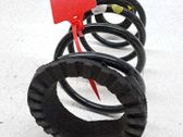 Muelle espiral delantero
