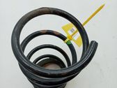 Muelle espiral delantero