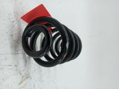 Front coil spring