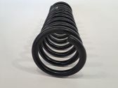 Muelle espiral delantero