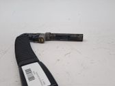 Boucle de ceinture de sécurité arrière