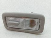 Consola de luz del techo