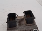 Engine control unit/module ECU