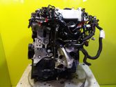 Motor completo