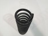 Muelle espiral delantero